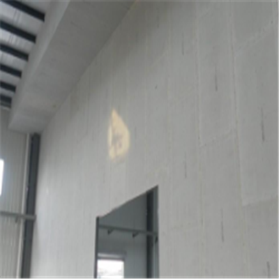 武鸣宁波ALC板|EPS加气板隔墙与混凝土整浇联接的实验研讨